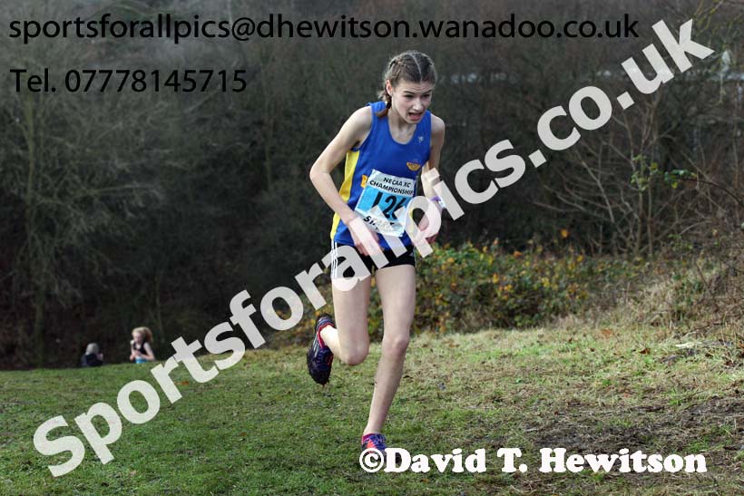 Girls under-13s North Eastern Cross Country, Aykley Heads, Durham. Photo: David T. Hewitson/Sports for All Pics